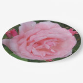 Klassische Rosa Pappteller (Schrägansicht)