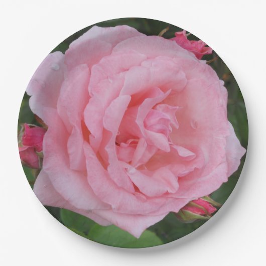 Klassische Rosa Pappteller (Vorderseite)