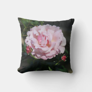 Klassische rosa Rose schöne Naturfotografie Kissen