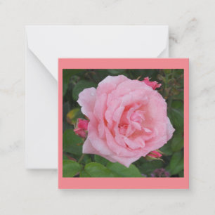 Klassische rosa Rosen-Flat-Notizkarte Mitteilungskarte
