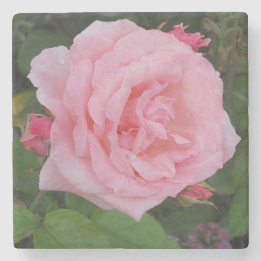 Klassische Rosa Steinuntersetzer (Vorderseite)