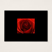 Klassische Rote Rose Save the Date Karte (Rückseite)