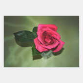 Klassische Rote Rosen auf grüner Blüte Geschenkpapier Set (Vorderseite 3)
