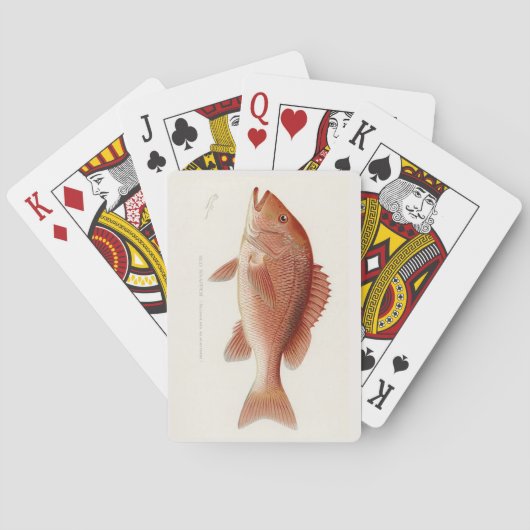 Klassische rote Schnapper Spielkarten (Rückseite)