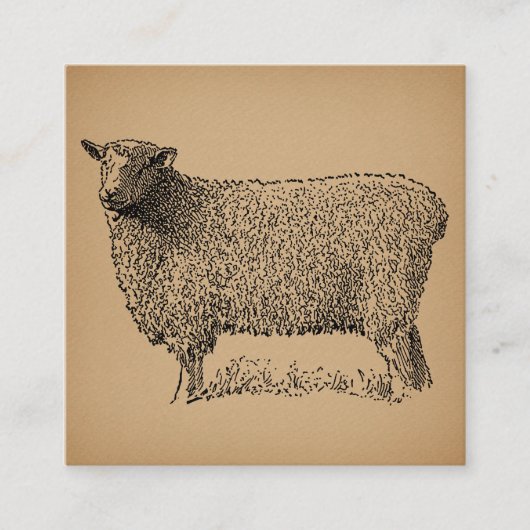 Klassische Schaf-Art-Illustration Antikes Landgut Begleitkarte (Vorderseite)