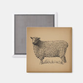 Klassische Schaf-Art-Illustration Antikes Landgut Magnet (Vorderseite/Rückseite)