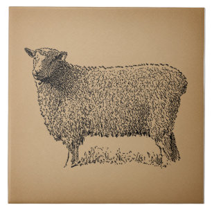 Klassische Schaf-Kunst-Illustration Antike Farmtie Fliese