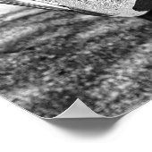 Klassische Schönheit Poster (Ecke)