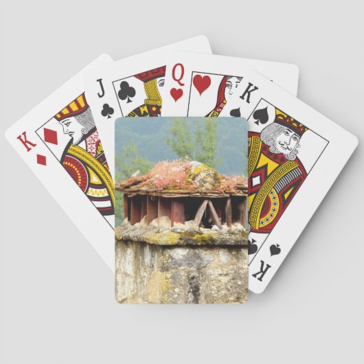 Klassische Spielkarten des antiken französischen S (Rückseite)