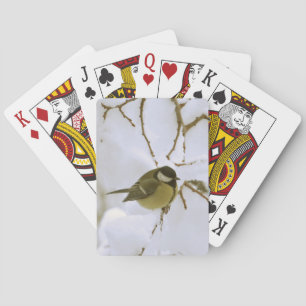 Klassische Spielkarten für Vögel