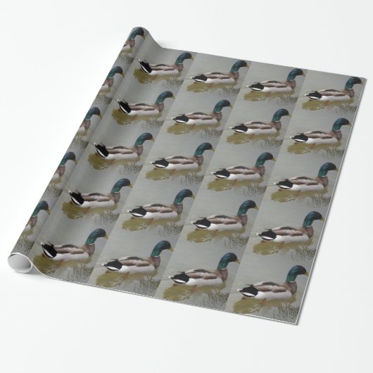 KLASSISCHE STOCKENTEN-ENTE GESCHENKPAPIER (Ungerollt)