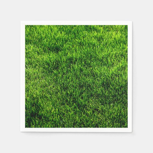 Klassische Texturen Serviette (Vorderseite)