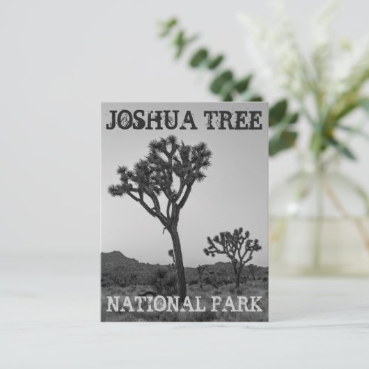 Klassische Trendy Black & White Joshua Tree Souven Postkarte (Stehend Vorderseite)