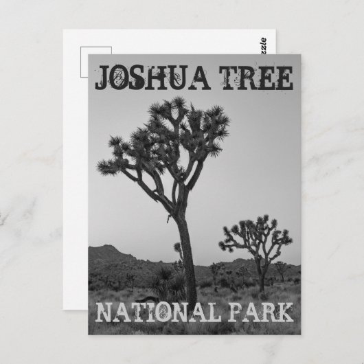 Klassische Trendy Black & White Joshua Tree Souven Postkarte (Vorne/Hinten)