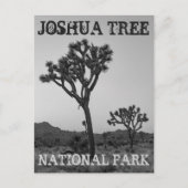 Klassische Trendy Black & White Joshua Tree Souven Postkarte (Vorderseite)