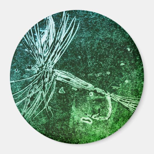 Klassische Trockenfliegenmuster für die Forellen- Magnet (Vorne)