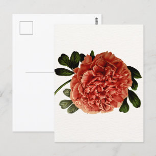 Klassische Vintage Blume Postkarte