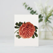 Klassische Vintage Blume Postkarte (Stehend Vorderseite)