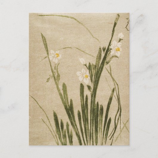 Klassische Vintage japanische Blume Postkarte (Vorderseite)