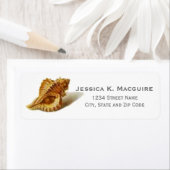 Klassische Vintage Spirale Seashell (Insitu)