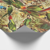 Klassische Vintage tropische Vogelwelten Geschenkpapier (Ecke)