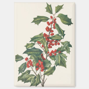 Klassische Weihnacht-Stechpalme mit roten Beeren K Magnet