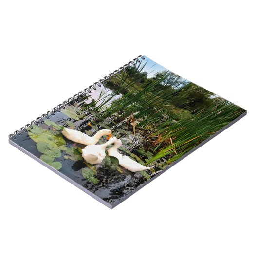 Klassische weiße Enten am schönen See Notizblock (Linke Seite)