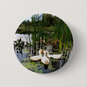 Klassische weiße Enten auf einem schönen See Button
