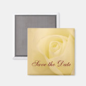 Klassische weiße Rose Save the Date Magnet (Vorderseite/Rückseite)