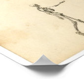 Klassische Zoologische Ätzung - Alte Elche und Men Poster (Ecke)