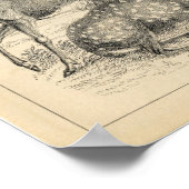 Klassische Zoologische Ätzung - Hirsch Poster (Ecke)