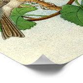 Klassische zoologische Ätzung - Sparrow Poster (Ecke)