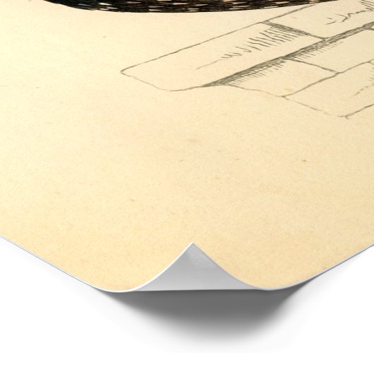 Klassische zoologische Ätzung - Starling Poster (Ecke)