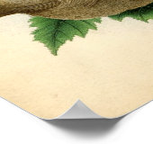 Klassische zoologische Etching - American Goldfinc Poster (Ecke)