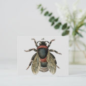 Klassische zoologische Radierung einer Postkarte (Stehend Vorderseite)