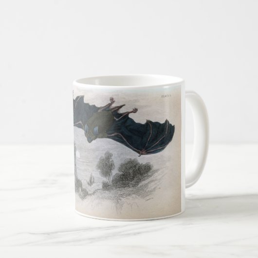 Klassische zoologische Radierung - Kaffeetasse (VorderseiteRechts)