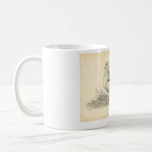 Klassische zoologische Radierung - Taube Kaffeetasse (Links)