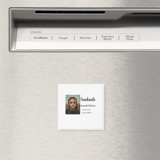 Klassischer Abschluss im Jahr 2008 Magnet (In Situ (Geschirrspüler))