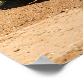 Klassischer Baseballhandschuh auf Infield-Erde Poster (Ecke)