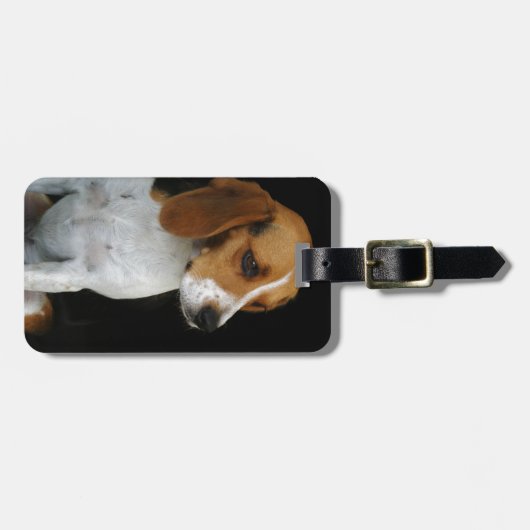 Klassischer Beagle Gepäckanhänger (Vorderseite horizontal)