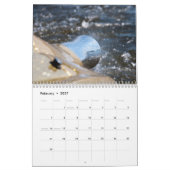 Klassischer Glastron-Kalender 2017 Kalender (Feb 2027)