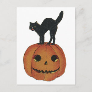 Klassischer Halloween-Kürbis und schwarze Katze Postkarte