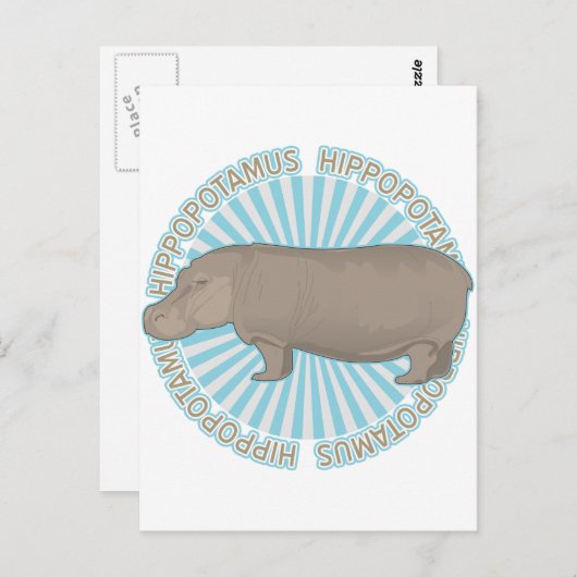 Klassischer Hippopotamus Postkarte (Vorne/Hinten)