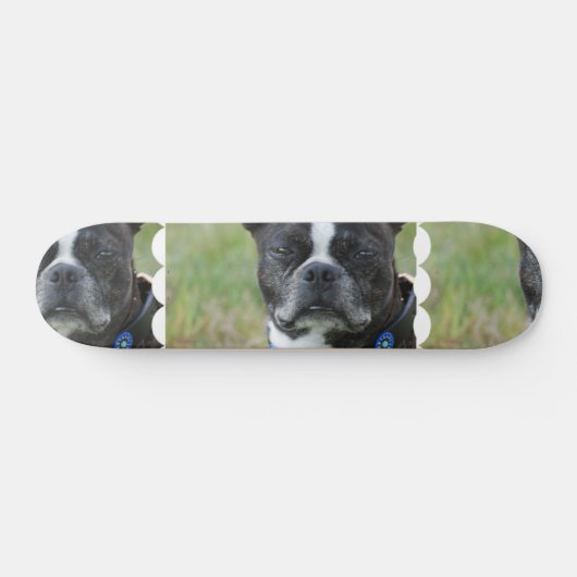 Klassischer Hund Bostons Terrier Skateboard (Horizontal)