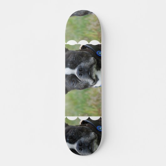 Klassischer Hund Bostons Terrier Skateboard (Vorne)
