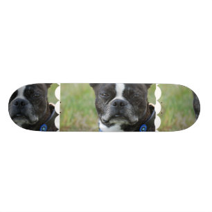 Klassischer Hund Bostons Terrier Skateboard