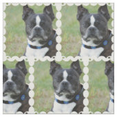 Klassischer Hund Bostons Terrier Stoff (Muster)