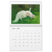 Klassischer Kalender der Katzen-2018 (Mär 2027)