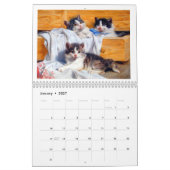 Klassischer Kalender der Katzen-2018 (Jan 2027)