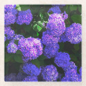 Klassischer Lila-realistischer Hydrangea-Untersetz Glasuntersetzer (Vorderseite)